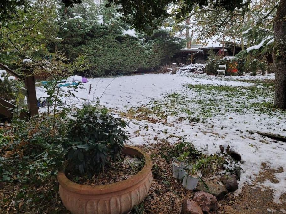 Gaestewohnung " Am Harsdorf " Magdeburg Dış mekan fotoğraf